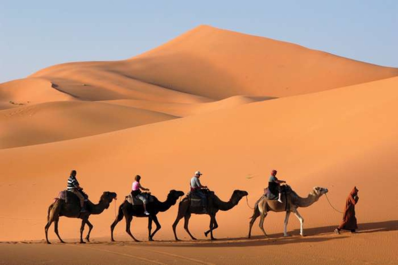 Sahara Desert Tour Egypt